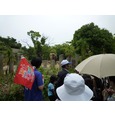 demo